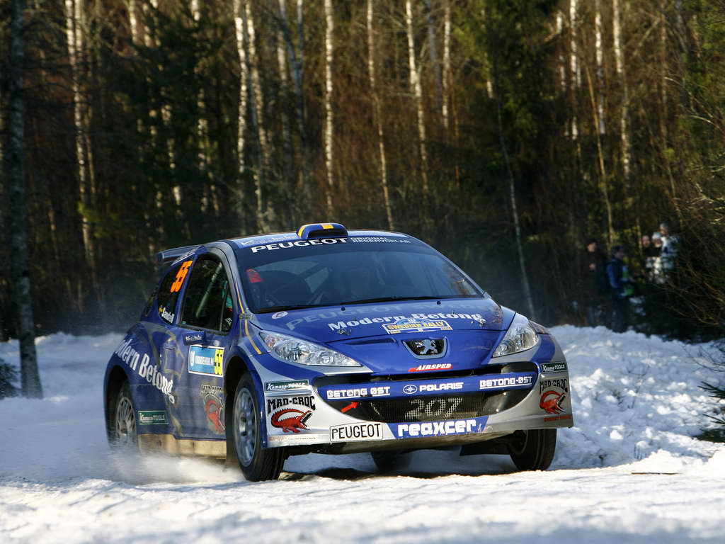 PWRC%20-%20Patrick%20Sandel,%20Peugeot_20080211170813.jpg