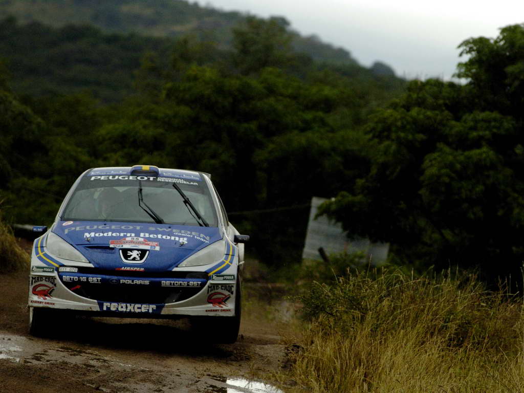 PWRC%20-%20Patrick%20Sandell%20Peugeot%20207%20S2000_20080329165545.jpg