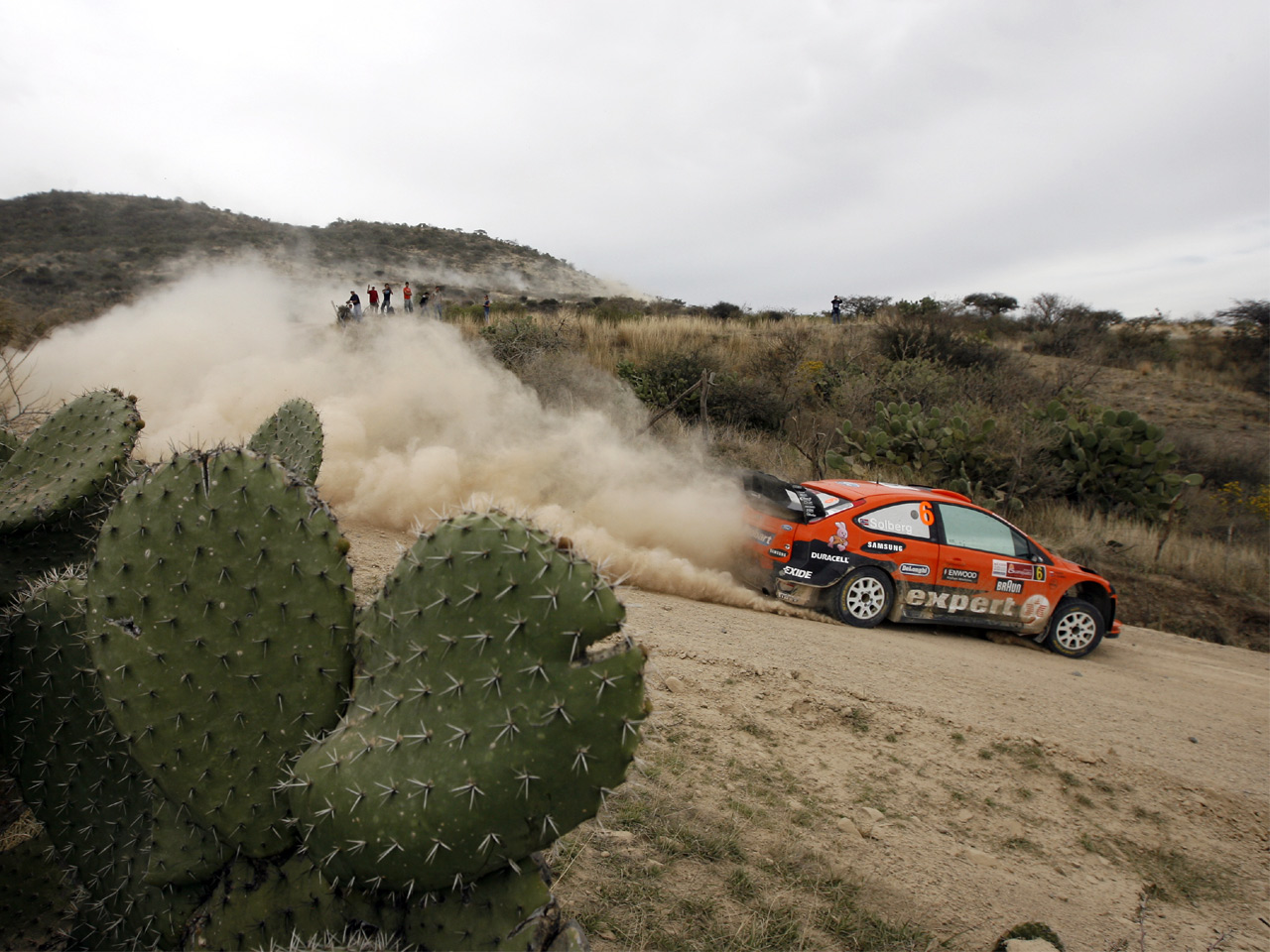 Rally%20Mexico%202010_20100307172411.jpg