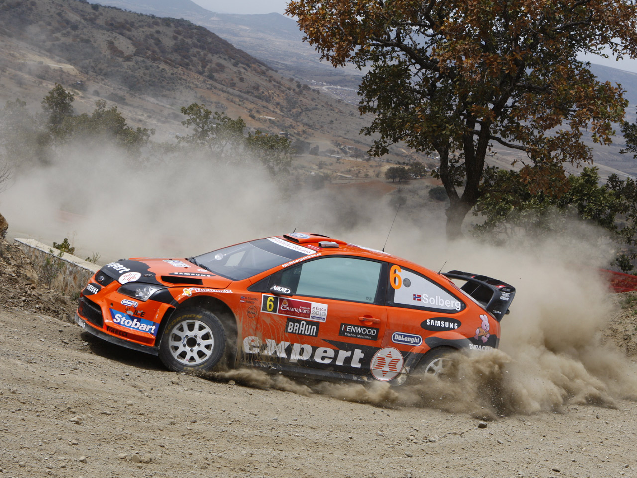 Rally%20Mexico%202010_20100307172502.jpg