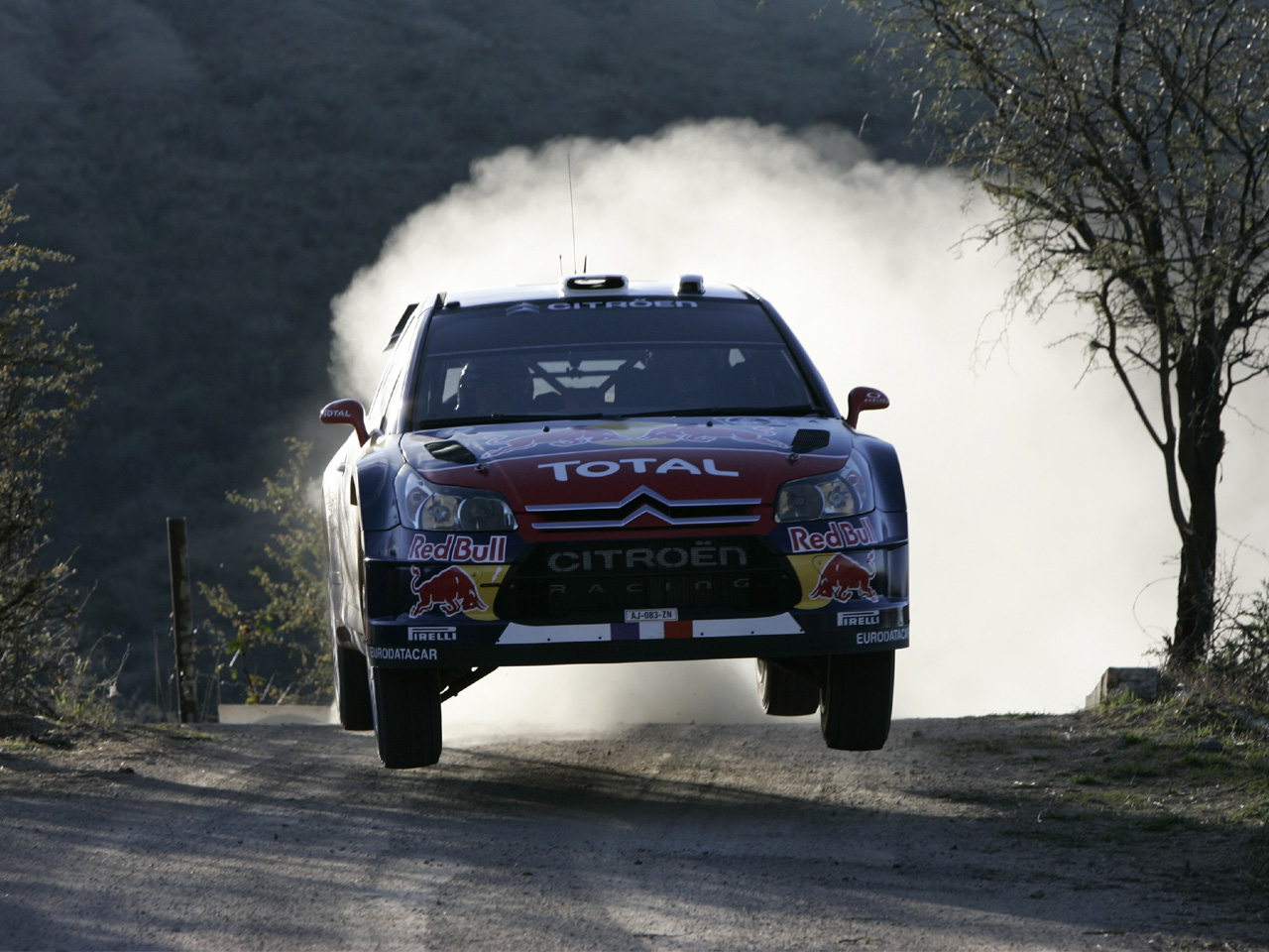 Rally%20Mexico%202010_20100307172607.jpg