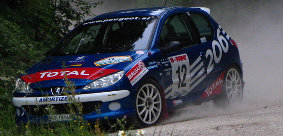 Rally - Rok Turk za volanom Peugeota 206 S1600