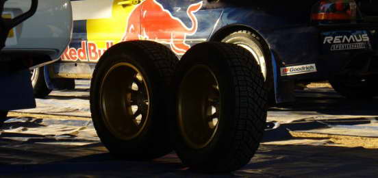 WRC - Mala osveta Michelina