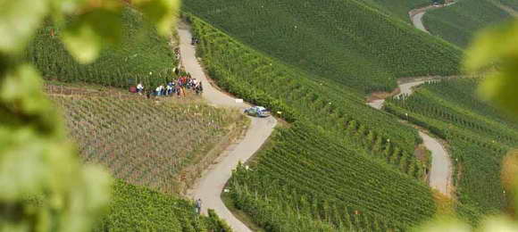 WRC, Reli Nemačka - Lista prijava