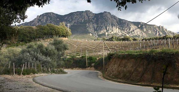WRC, Tour de Corse – Shake mladima