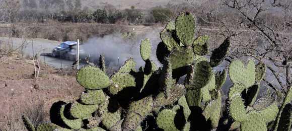WRC Mexico - najava i program trke
