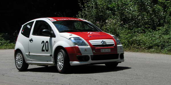 Brdske trke, IHCC Bor 2008 – Stankovič pobednik