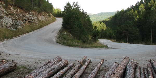 41. Serbia Atako Rally – Upoznajte BI 2,5,8, Ljubiš