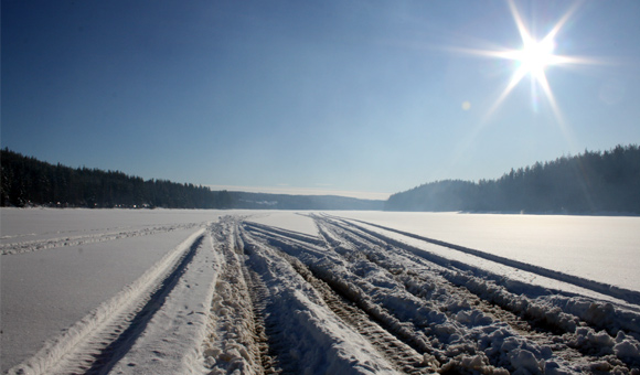 WRC - Rally Sweden kroz objektiv Vladana Petrovića