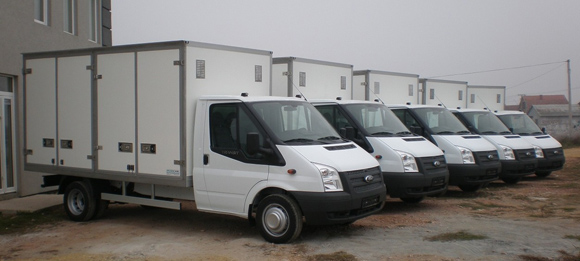 Pekari vole Ford Transit