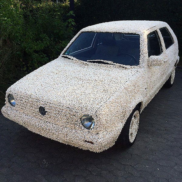 Volkswagen Golf prekriven kokicama - baš je slan (foto)