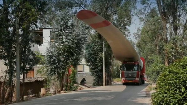 Ovakav transport još niste videli (foto+video)