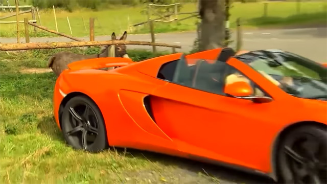 Pogledajte kako je magarac oštetio 300.000 € vredan McLaren (VIDEO)