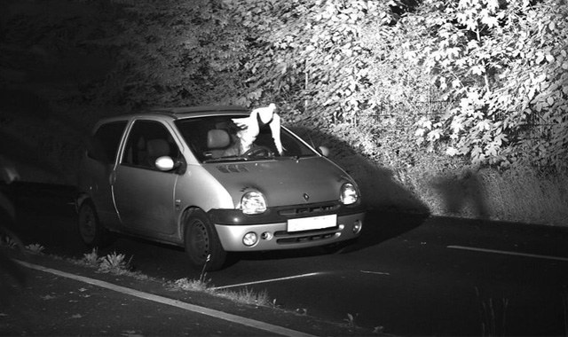 Šok u nemačkoj policiji - pogledajte šta je spasilo vozača od kazne za prebrzu vožnju (FOTO)