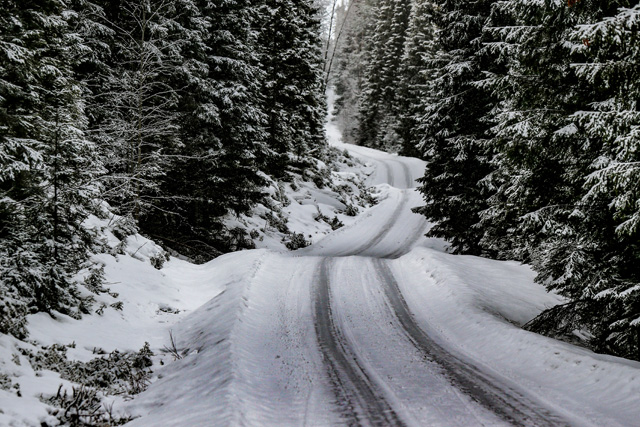 Rally Sweden 2021 zvanično otkazan zbog korona-virusa