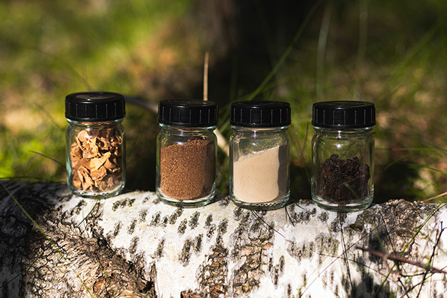 Nokian Tyres Betula - koncept pneumatika napravljenog od ostataka brezove kore