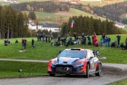 Central European Rally 2023 - Thierry Neuville