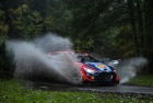 Central European Rally 2023 - Thierry Neuville