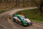 Croatia Rally 2023 - Thierry Neuville