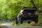 Croatia Rally 2024 - Elfyn Evans