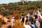 EKO Acropolis Rally Greece 2026 - Sami Pajari