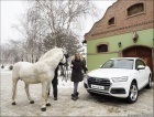 Novi Audi Q5 stigao u Srbiju - januar 2017