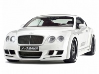 Novi automobili - Hamann Imperator