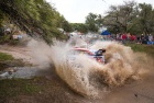 Rally Argentina 2019 - Andreas Mikkelsen