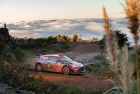 Rally Argentina 2019 - Andreas Mikkelsen