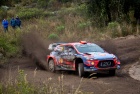 Rally Argentina 2019 - Dani Sordo