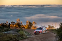 Rally Argentina 2019 - Dani Sordo