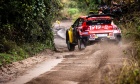 Rally Argentina 2019 - Sebastien Ogier