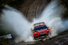 Rally Argentina 2019 - Sebastien Ogier