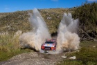 Rally Argentina 2019 - Thierry Neuville