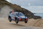 Rally Australia 2017 - Thierry Neuville