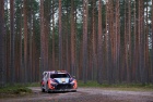 Rally Finland 2023 - Thierry Neuville