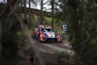 Rally Finland 2023 - Thierry Neuville