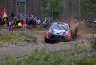 Rally Finland 2023 - Thierry Neuville