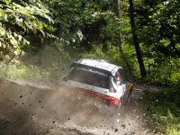 Rally Japan 2010