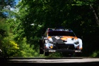 Rally Japan 2026 - Hayden Paddon