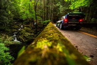 Rally Japan 2026 - Josh McErlean