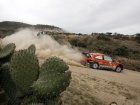 Rally Mexico 2010