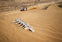 Rally Saudi Arabia 2025 - Adrien Fourmaux