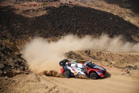 Rally Saudi Arabia 2025 - Thierry Neuville