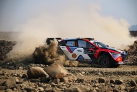 Rally Saudi Arabia 2025 - Thierry Neuville