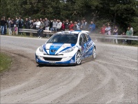 Rally Serbia 2011