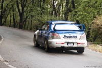 Rally Serbia 2012