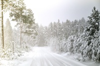 Rally Sweden 2026 - atmosfera