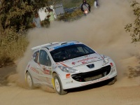 Rally de Portugal 2008