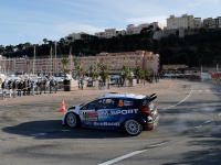 Rallye Monte Carlo 2015